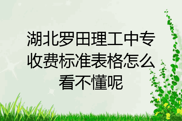 湖北罗田理工中专收费标准表格怎么看不懂呢