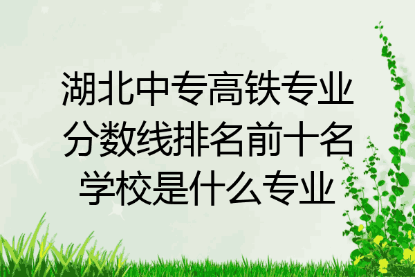 湖北中专高铁专业分数线排名前十名学校是什么专业