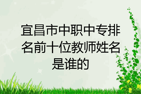 宜昌市中职中专排名前十位教师姓名是谁的