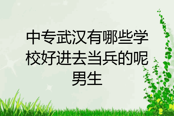 中专武汉有哪些学校好进去当兵的呢男生