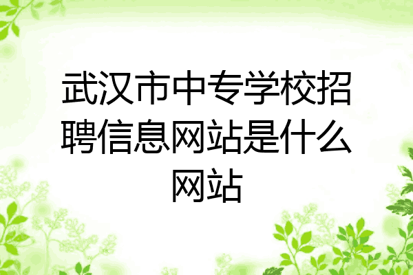 武汉市中专学校招聘信息网站是什么网站