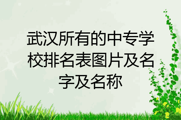武汉所有的中专学校排名表图片及名字及名称