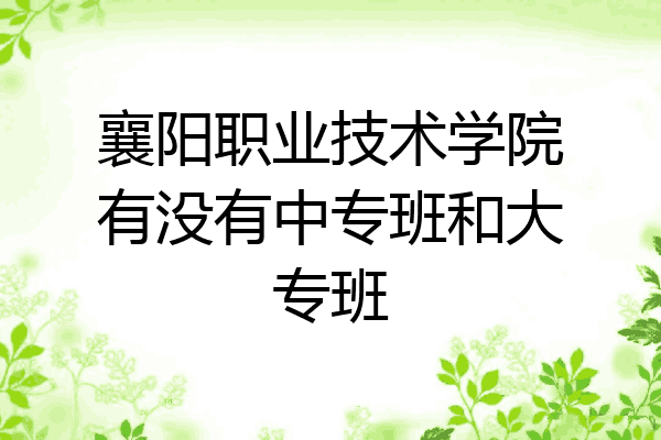 襄阳职业技术学院有没有中专班和大专班