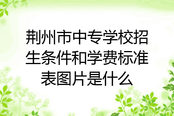 荆州市中专学校招生条件和学费标准表图片是什么