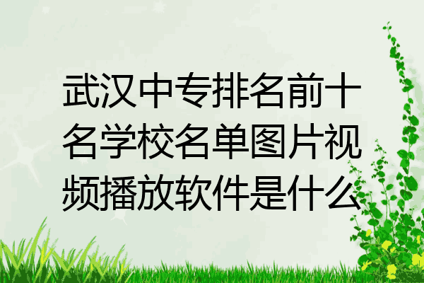 武汉中专排名前十名学校名单图片视频播放软件是什么