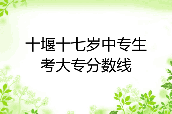 十堰十七岁中专生考大专分数线