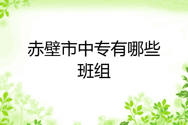 赤壁市中专有哪些班组