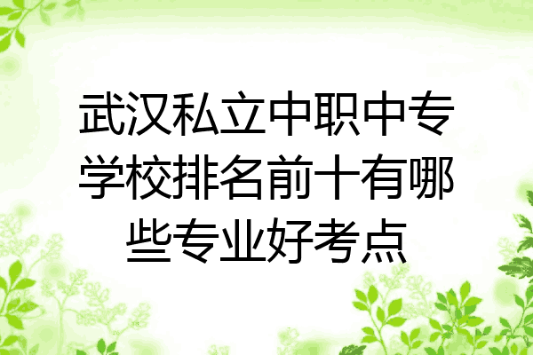 武汉私立中职中专学校排名前十有哪些专业好考点