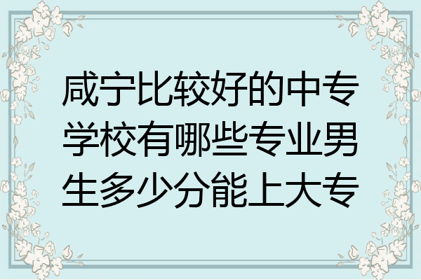 咸宁比较好的中专学校有哪些专业男生多少分能上大专