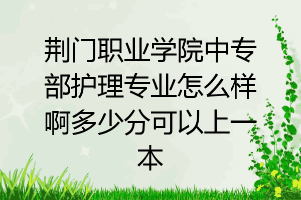 荆门职业学院中专部护理专业怎么样啊多少分可以上一本