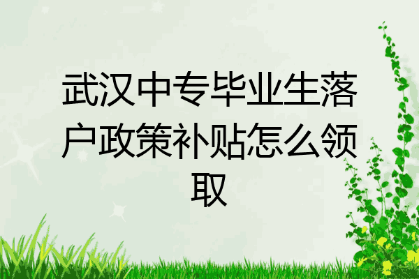 武汉中专毕业生落户政策补贴怎么领取