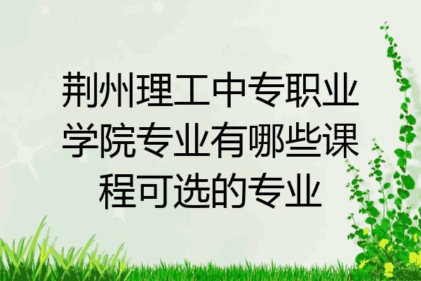 荆州理工中专职业学院专业有哪些课程可选的专业