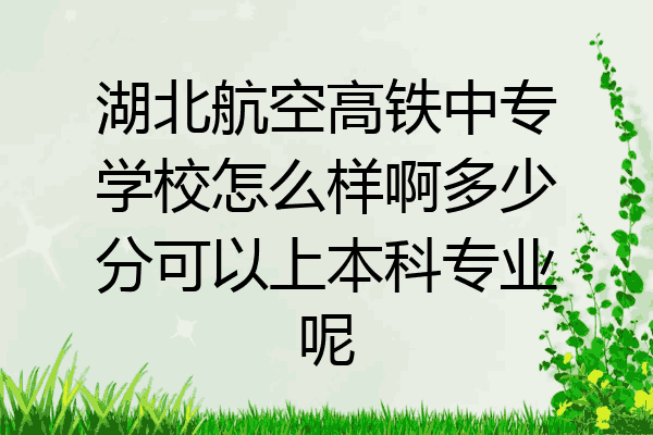湖北航空高铁中专学校怎么样啊多少分可以上本科专业呢