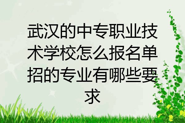 武汉的中专职业技术学校怎么报名单招的专业有哪些要求
