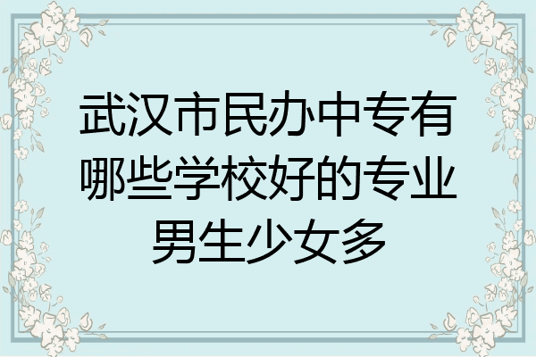 武汉市民办中专有哪些学校好的专业男生少女多