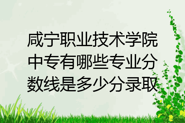 咸宁职业技术学院中专有哪些专业分数线是多少分录取