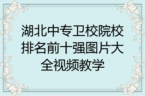 湖北中专卫校院校排名前十强图片大全视频教学