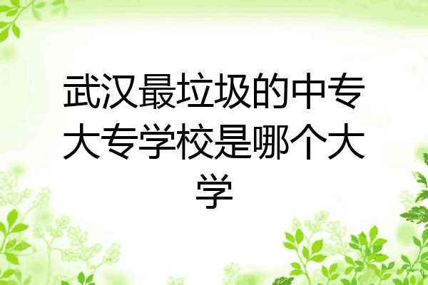 武汉最垃圾的中专大专学校是哪个大学