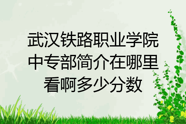 武汉铁路职业学院中专部简介在哪里看啊多少分数