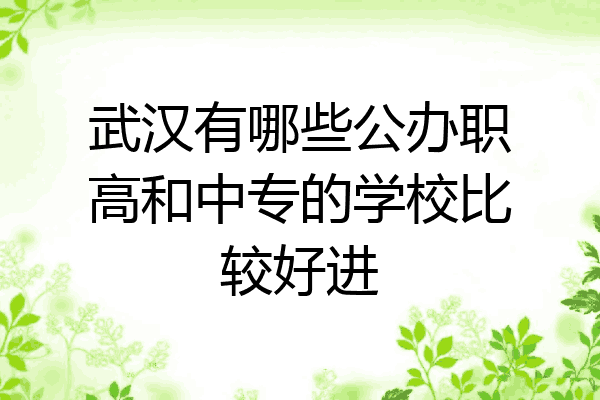 武汉有哪些公办职高和中专的学校比较好进