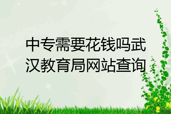 中专需要花钱吗武汉教育局网站查询