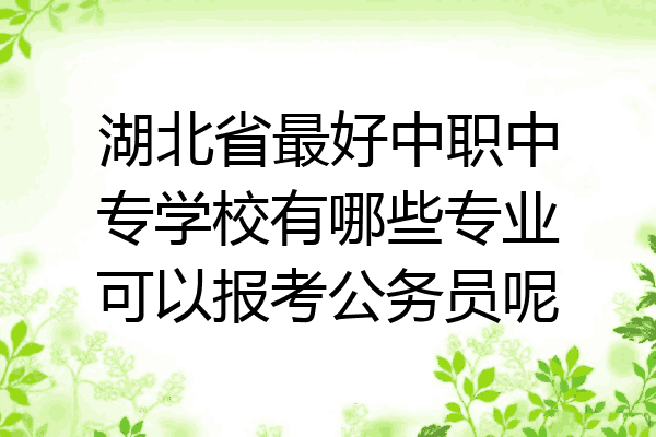 湖北省最好中职中专学校有哪些专业可以报考公务员呢