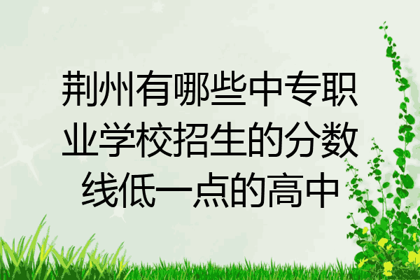 荆州有哪些中专职业学校招生的分数线低一点的高中