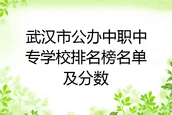 武汉市公办中职中专学校排名榜名单及分数