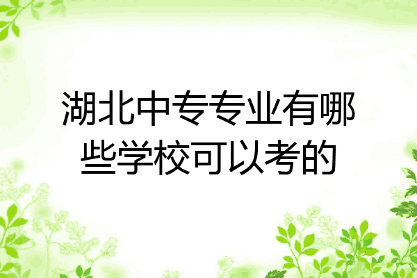 湖北中专专业有哪些学校可以考的