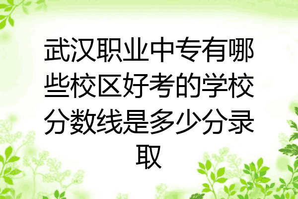 武汉职业中专有哪些校区好考的学校分数线是多少分录取