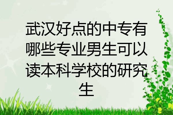 武汉好点的中专有哪些专业男生可以读本科学校的研究生