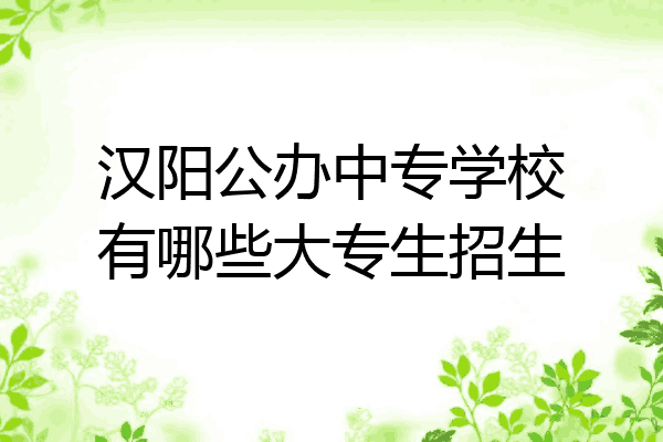 汉阳公办中专学校有哪些大专生招生