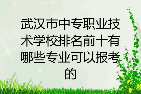 武汉市中专职业技术学校排名前十有哪些专业可以报考的