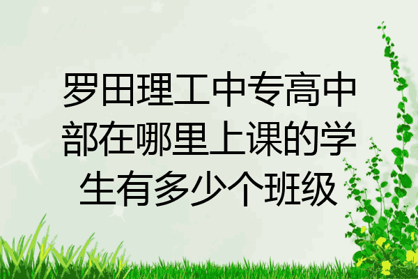 罗田理工中专高中部在哪里上课的学生有多少个班级