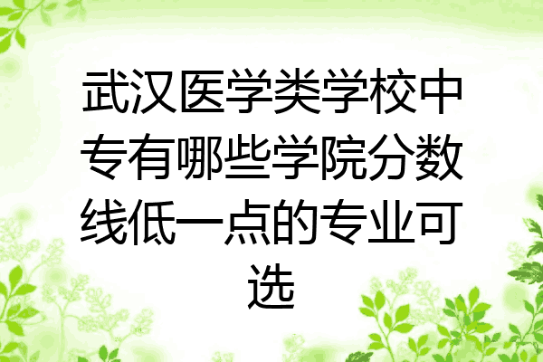 武汉医学类学校中专有哪些学院分数线低一点的专业可选