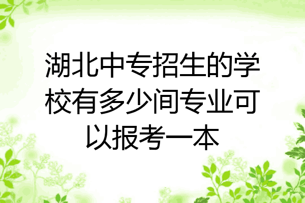 湖北中专招生的学校有多少间专业可以报考一本