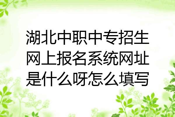 湖北中职中专招生网上报名系统网址是什么呀怎么填写