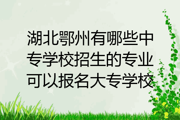 湖北鄂州有哪些中专学校招生的专业可以报名大专学校