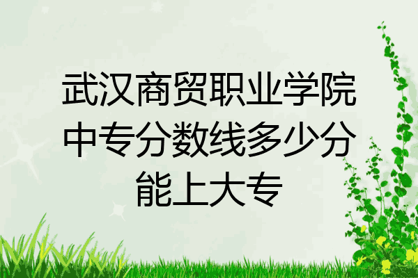 武汉商贸职业学院中专分数线多少分能上大专