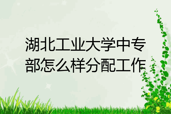 湖北工业大学中专部怎么样分配工作