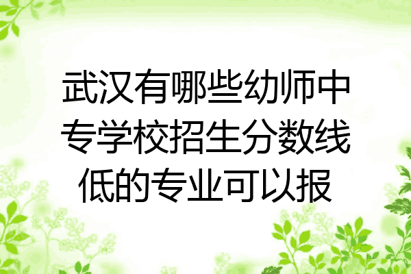 武汉有哪些幼师中专学校招生分数线低的专业可以报