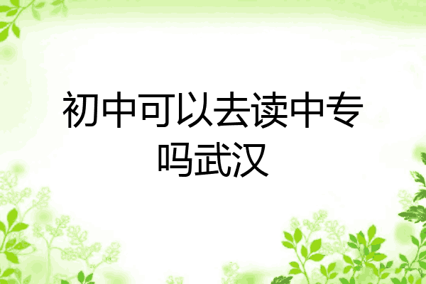 初中可以去读中专吗武汉