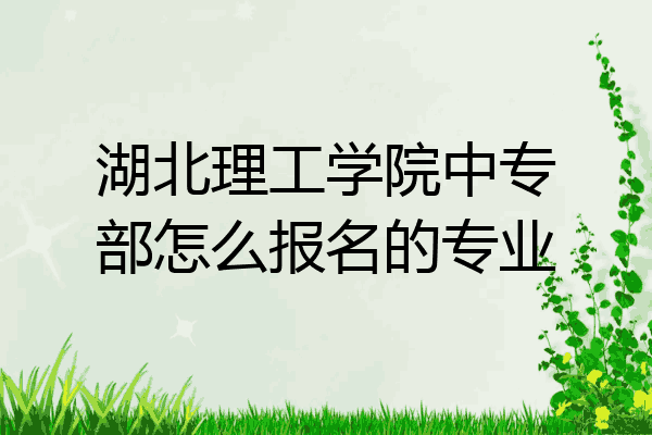 湖北理工学院中专部怎么报名的专业