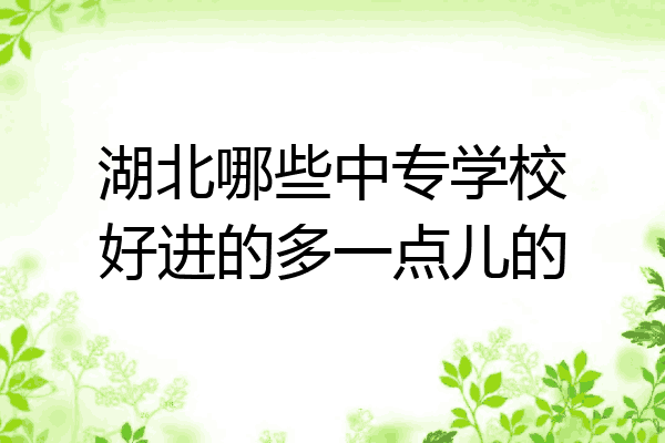 湖北哪些中专学校好进的多一点儿的