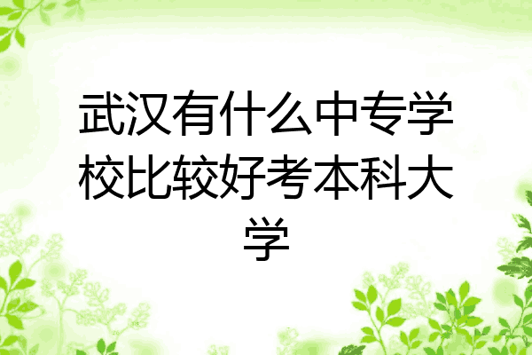 武汉有什么中专学校比较好考本科大学