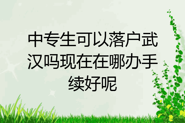 中专生可以落户武汉吗现在在哪办手续好呢