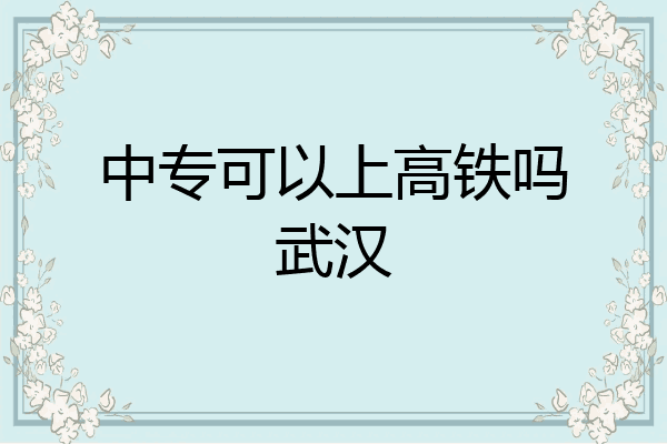 中专可以上高铁吗武汉