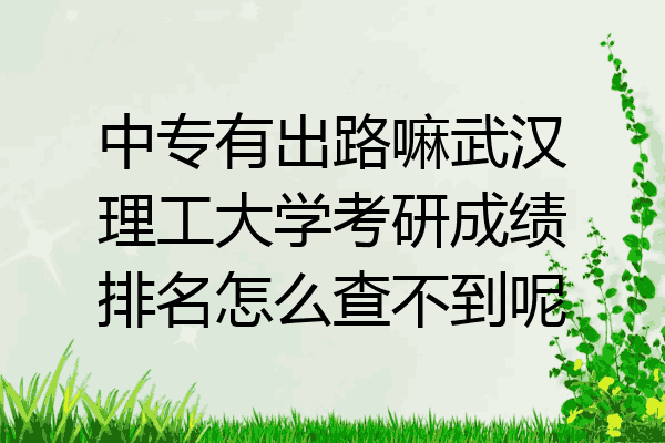中专有出路嘛武汉理工大学考研成绩排名怎么查不到呢