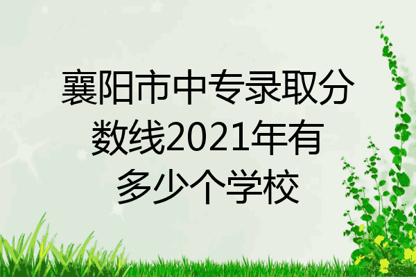 襄阳市中专录取分数线2021年有多少个学校