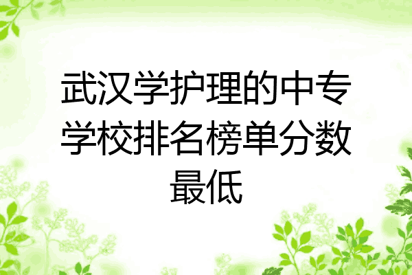 武汉学护理的中专学校排名榜单分数最低